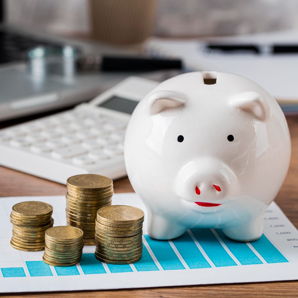 Aide à la Gestion de Trésorerie et Planification Budgétaire
